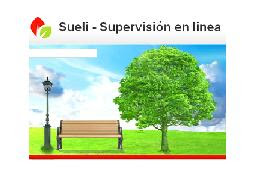 Supervisión En LInea