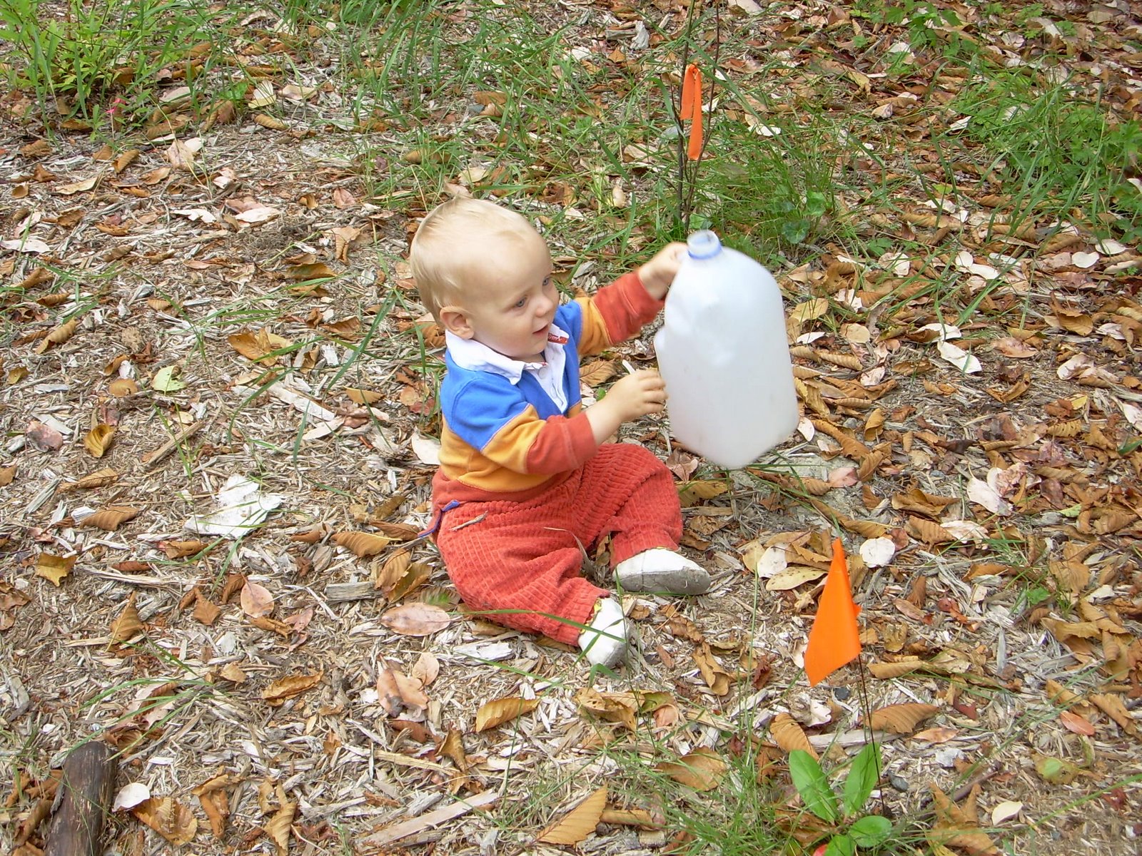 [DSCN3887.JPG]