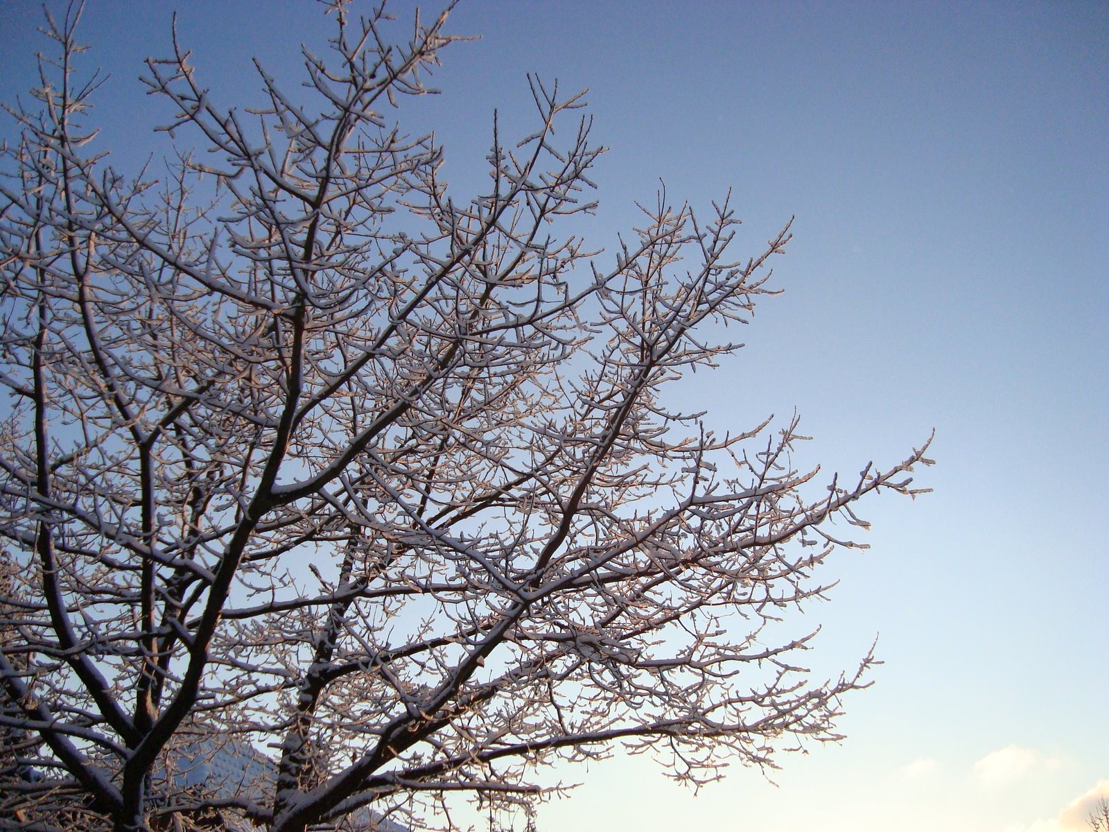 [Winter+019.JPG]