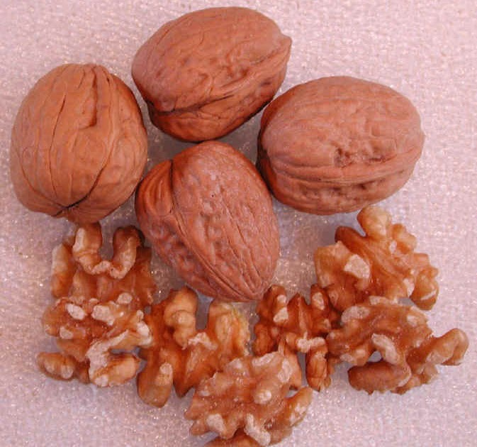 Leader Business Walnuts and Rice