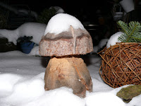 Schneepilz