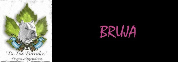 Bruja