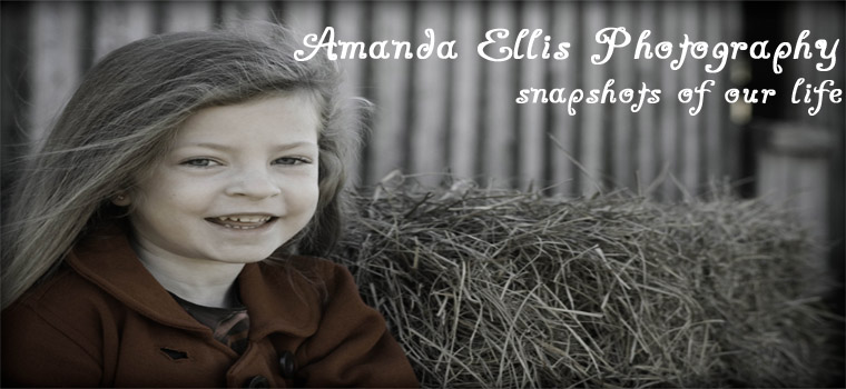 Amanda Ellis Photography