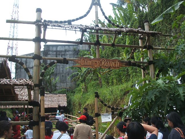 [DSCF4016.JPG]