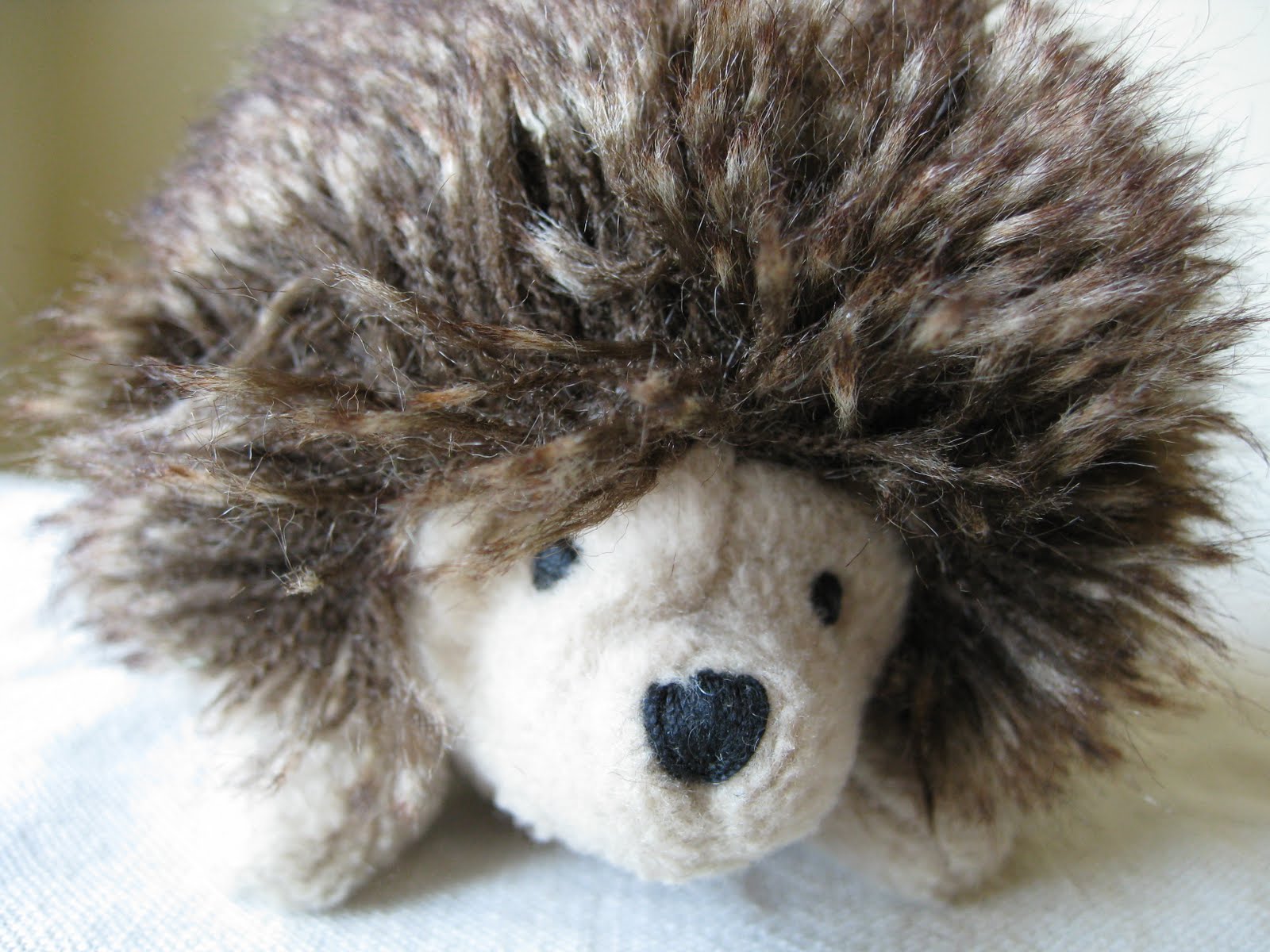 we bloom here Hedgehog Love