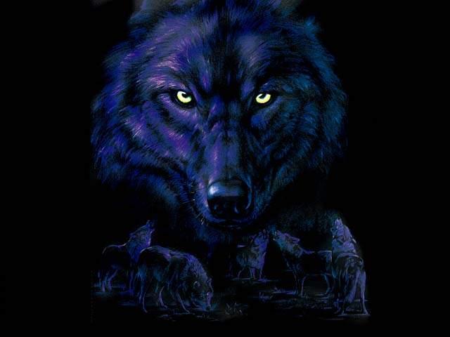 http://2.bp.blogspot.com/_RMVBGp0BfAc/ScWaMssgApI/AAAAAAAAADY/eh6jXpXeB0g/S1600-R/nitewolf56-NightWolf.jpg