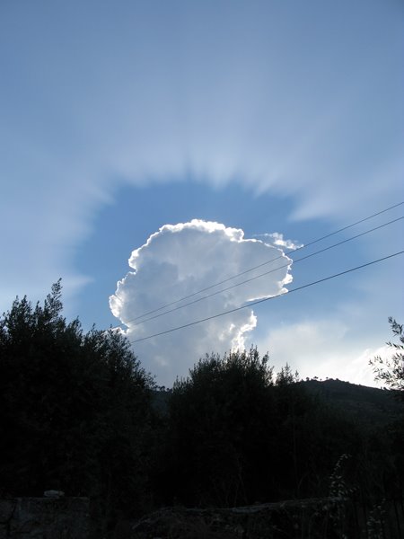 [IMG_1890.JPG]