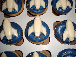 EDIBLE SPACESHIPS