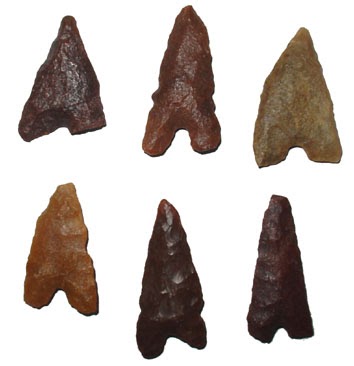 Punte Di Freccia Per Tiro Con Arco - 12 Pezzi, 100 Grani, Nero, Per Practice E Caccia - Foto 7