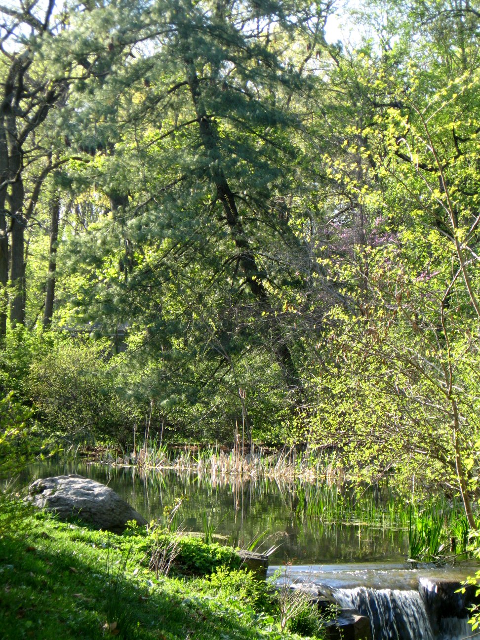 Brooklyn Photos Springtime in Prospect Park