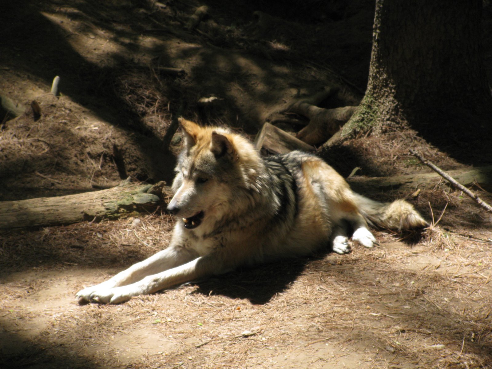 [IMG_0153.JPG]