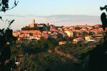 Montescudaio - panoramic view