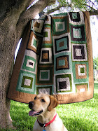 Ike's Quilt