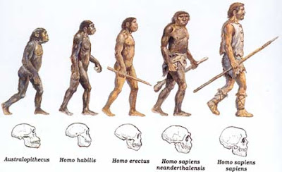 http://2.bp.blogspot.com/_RTgtJofXCqA/S62P_Ll-GeI/AAAAAAAAC5Y/K9jKXNFLmiQ/s1600/evolucao_humana.jpg