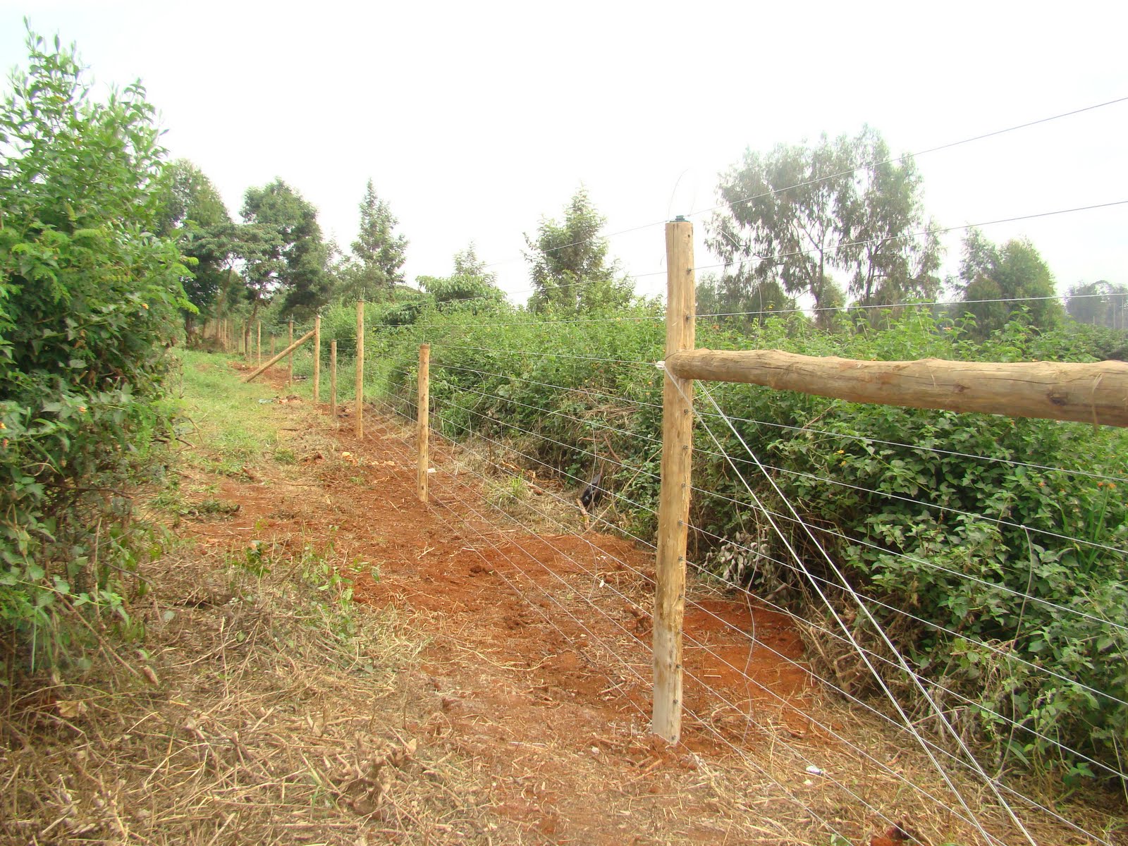 Kenya Forests Karura Forest Electric Fence Project Starts