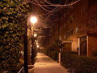 calle solitaria en la noche