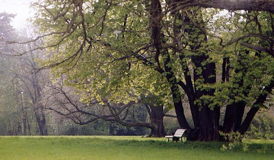 soledad en el parque