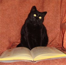 Tina, estudiant el grimori.