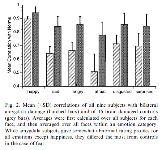 amygdala study results