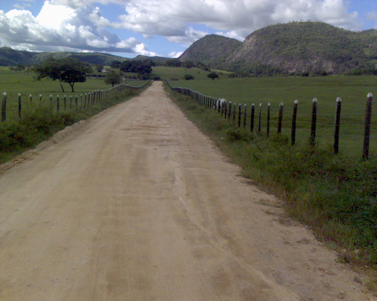 MATA VERDE RAINHA DOS POVOADOS CAOS EM MATA VERDE