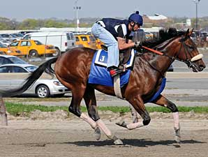 [QualityRoadBelmont042609_RS298.jpg]