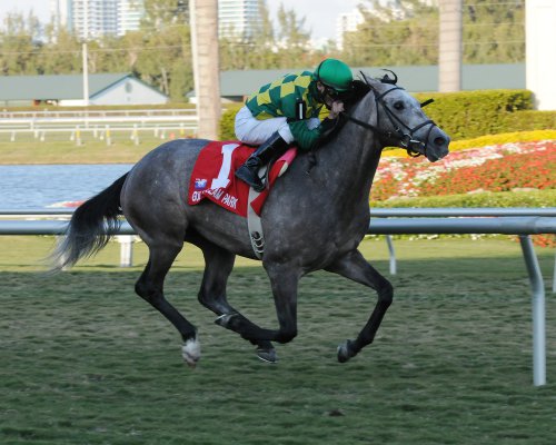 Barclay Tagg, Lael Stables