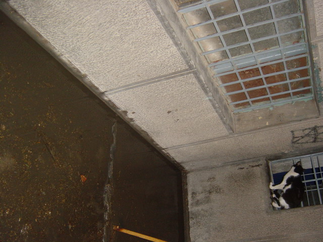 [DSC00066_resize.JPG]