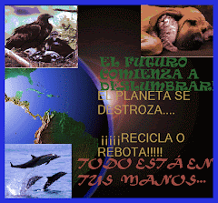 Cartel medio ambiente