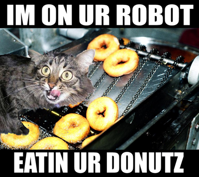 donut lolcat
