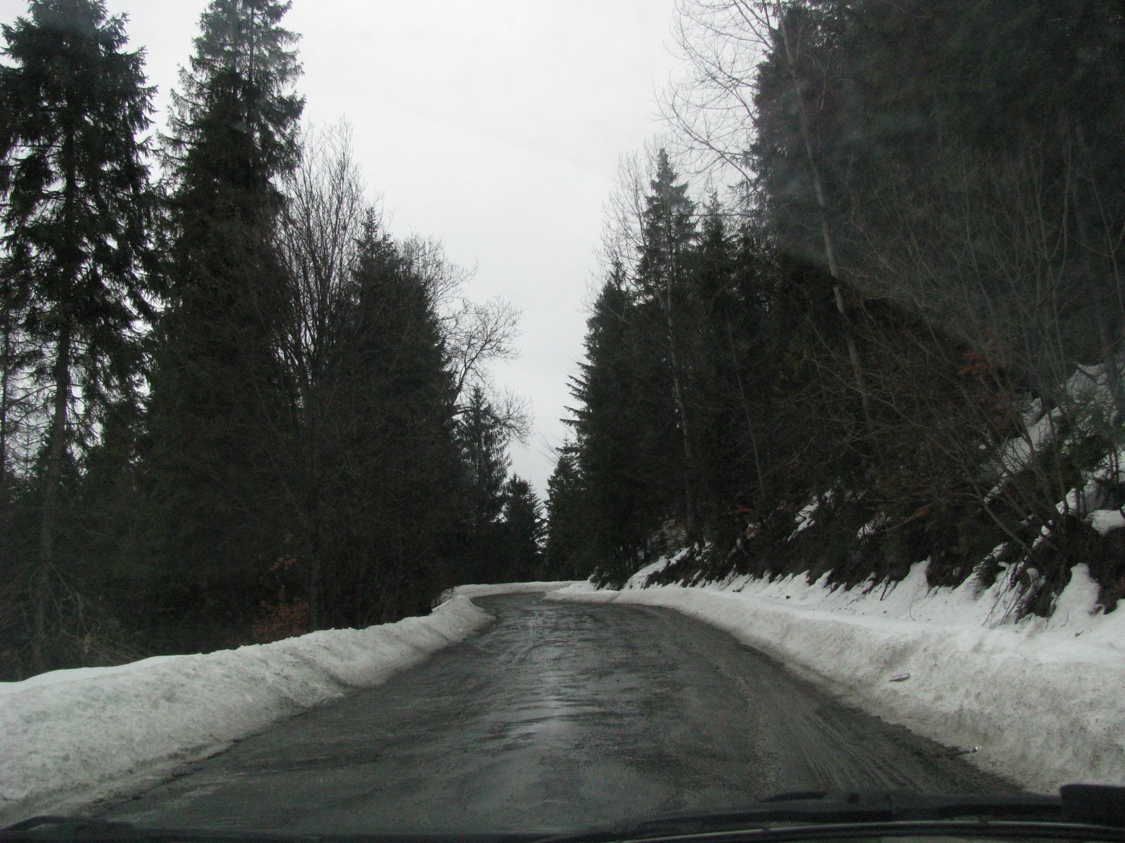 [IMG_4547.jpg]
