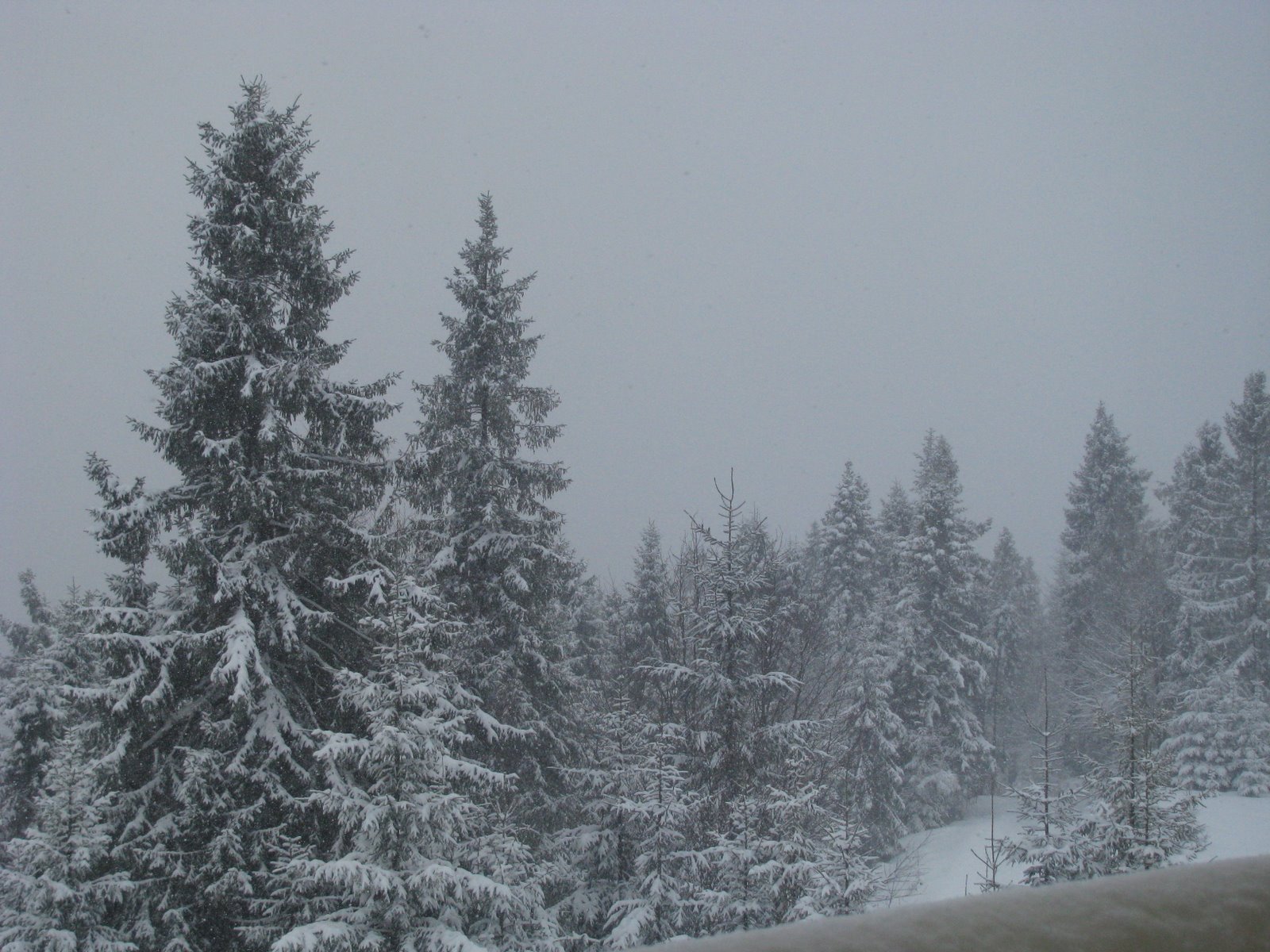 [IMG_4647.jpg]