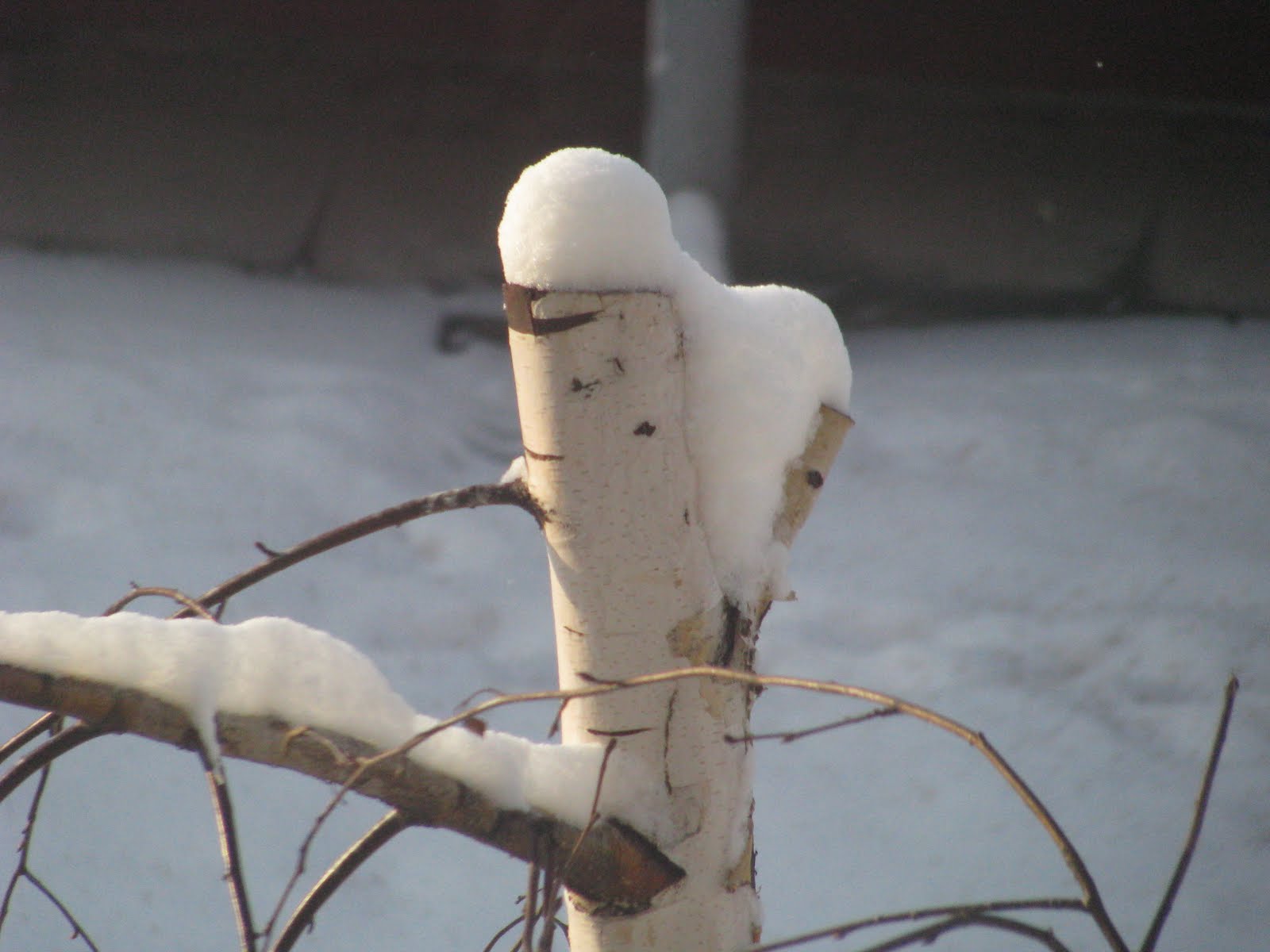 [IMG_7090.JPG]