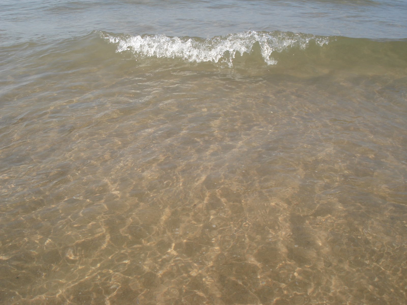 [DSC06737.JPG]