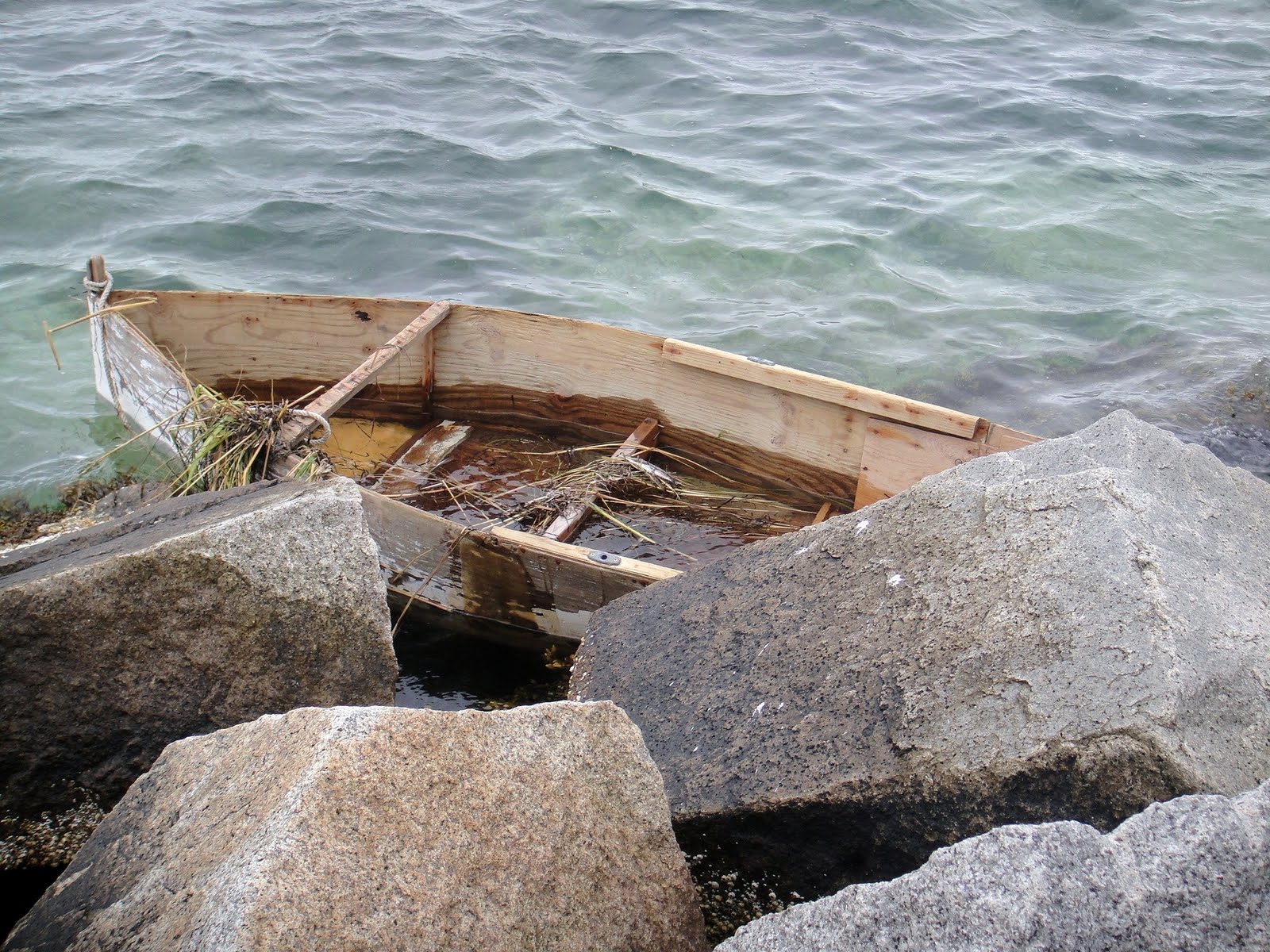[DSC01084.JPG]