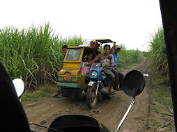 Typical transport