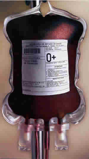 [a++bolsa_sangue.jpeg]