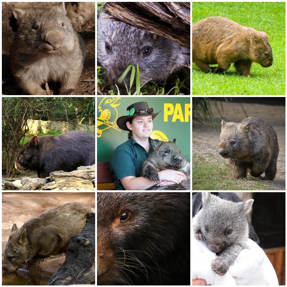 [mosaicc7d68b57b30e747f205965bdad9254c1ff1b6334.jpg]