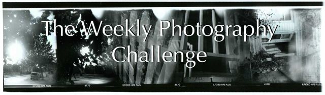 The Weekly Photo Challenge