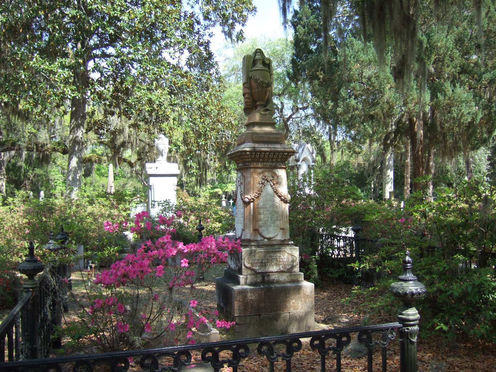 MAGPIE Spanish moss and grave markers for Kevin of Hollywood