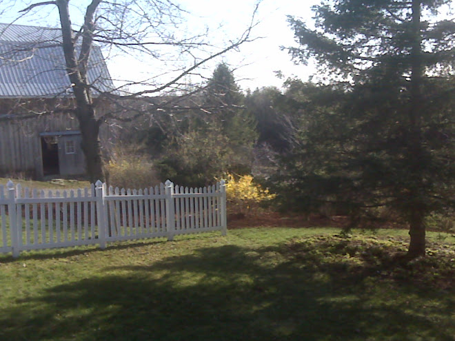 front yard at the farm