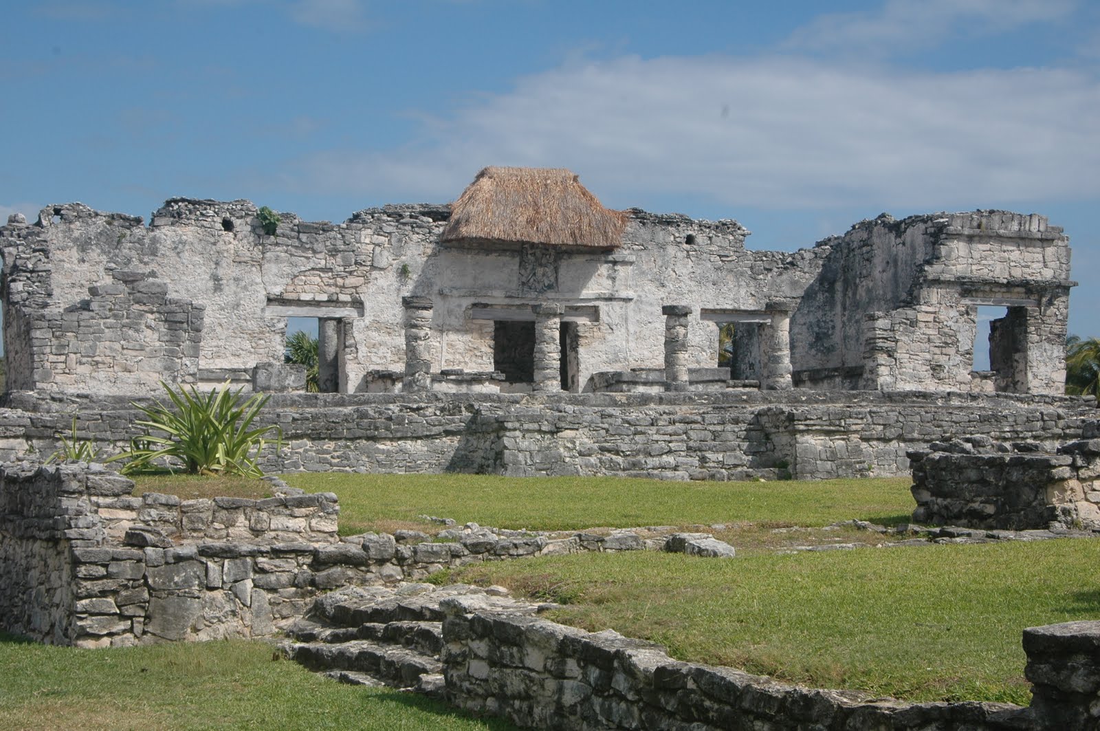 [DSC_1695.JPG]