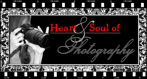 Heart & Soul of Photography