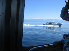 A boat leaving the inner harbour at Victoria