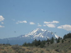 Mount Shasta