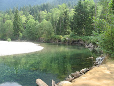 Gold Creek