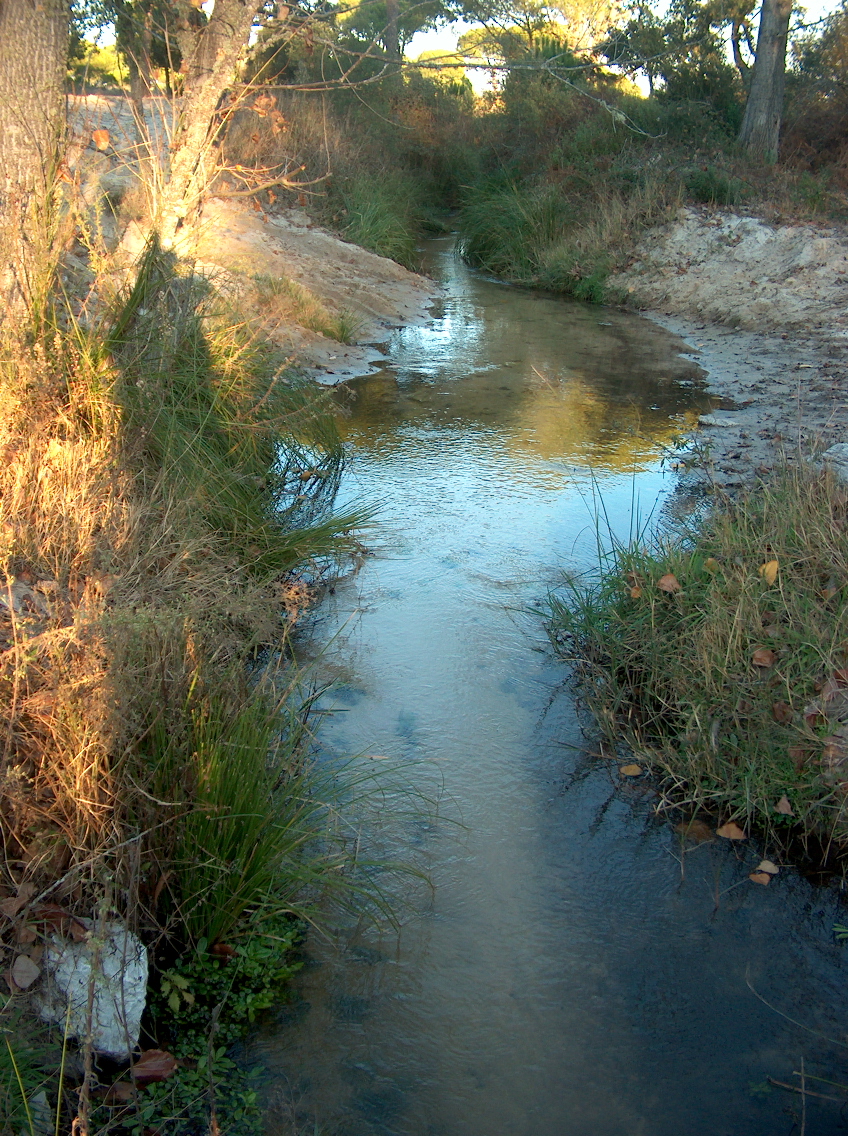 [HPIM0351.JPG]