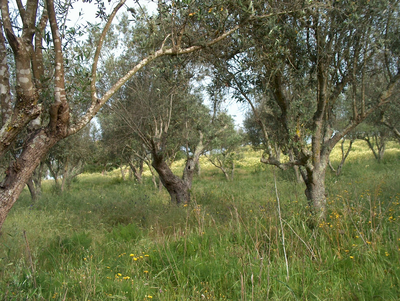 [HPIM2971.JPG]