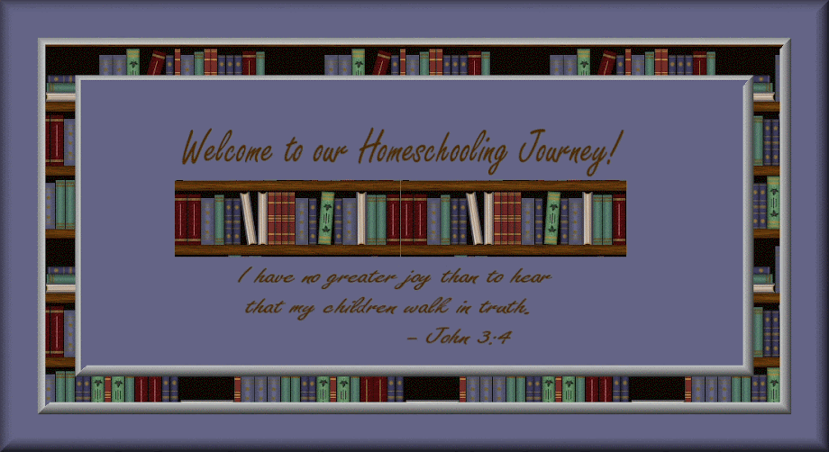 Our Homeschool Journey