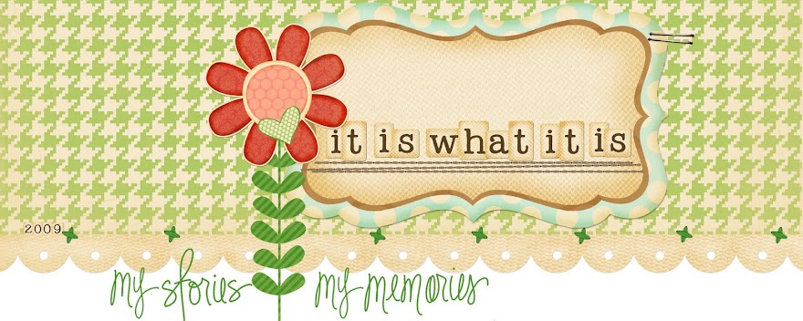 It is what it is...