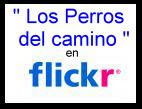 Flick
